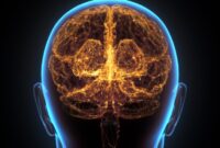 Ilmuwan Menemukan Perbedaan Biologis Utama Antara Psikopat dan Orang Normal
