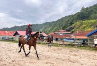 Joki memacu kudanya saat sesi latihan di Gelanggang Pacuan Kuda Bancalaweh, Padang Panjang, Senin (20/10/2025). Latihan ini menjadi bagian dari persiapan Gubernur Cup III Pacu Kuda Alek Nagari Pabasko yang akan digelar akhir pekan mendatang. (Foto: Diskominfo Padang Panjang)
