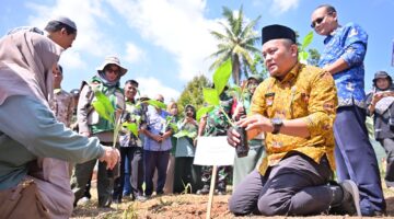 Payakumbuh Tanam 3.000 Bibit Pisang, Perkuat Sentra Hortikultura dan Ekonomi Petani