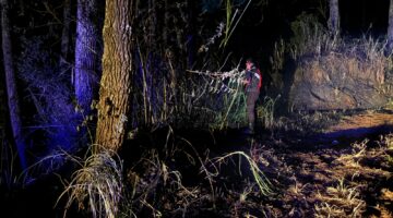 Hutan Subak Bayungan Sukawana terbakar, berikut penyebab dan kondisi terkini di lokasi