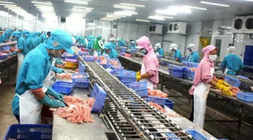 Informasi terkini mengenai kebijakan dan peraturan Uni Eropa mengenai impor pangan dan pertanian.