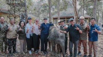 Pemprov Lampung Dorong Keseimbangan Konservasi Gajah dan Aktivitas Masyarakat