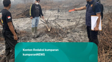 Viral Anggota DPRD di Kalbar Bakar Lahan untuk Tanam Sawit, Polisi Selidiki