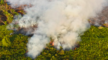 BMKG Manfaatkan Es Kering untuk Mengurai Asap Kebakaran Hutan dan Lahan di Sumatera dan Kalimantan