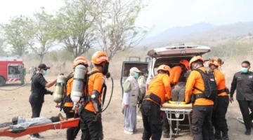 Basarnas Palu Tingkatkan Kesiapsiagaan Hadapi Potensi Kebakaran Hutan dan Lahan