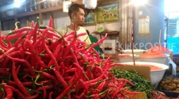 Harga Cabai di Padang Mulai Stabil, Berikut Daftar Harga Terbaru di Pasar Raya – KlikPositif.com