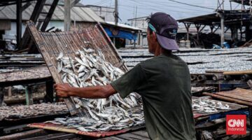 Ikan Asin Viral Disemprot Insektisida, Ini Bahayanya Jika Dimakan