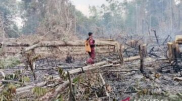 Tabalong Dapat Rp. Bantuan 10 Miliar dari Presiden Prabowo untuk Tangani Karhutla dan Lahan